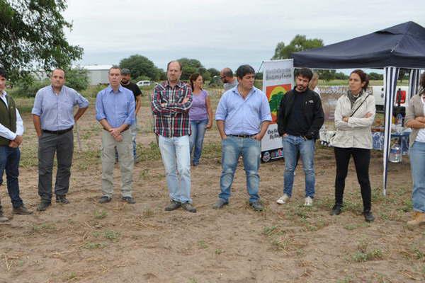 Nacioacuten y Provincia realizaron  la forestacioacuten de 900 hectaacutereas