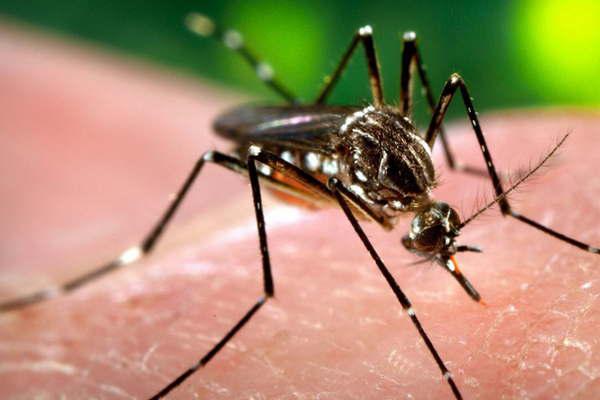 Los casos de dengue este antildeo superan  a los de todo 2017