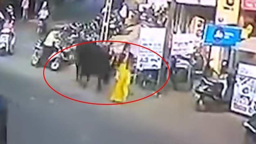 Video- Un toro atacoacute a una mujer y la lanzoacute varios metros en el aire