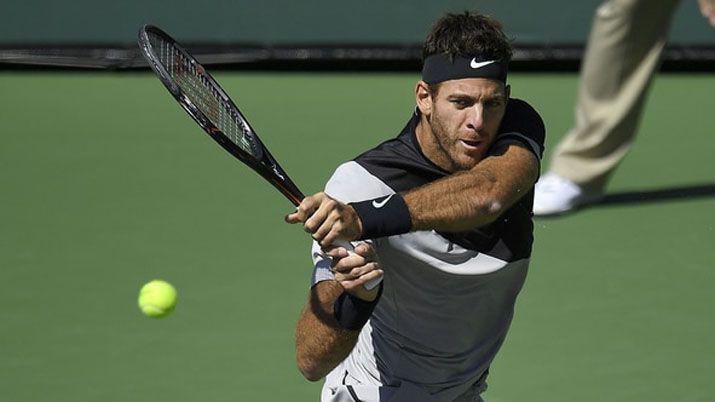 Del Potro se metioacute en la final de Indian Wells al vencer a Raonic