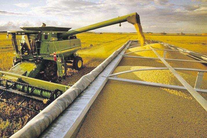 Indican que en este antildeo con restriccioacuten hiacutedrica la tecnologiacutea hace maacutes diferencia en la cosecha