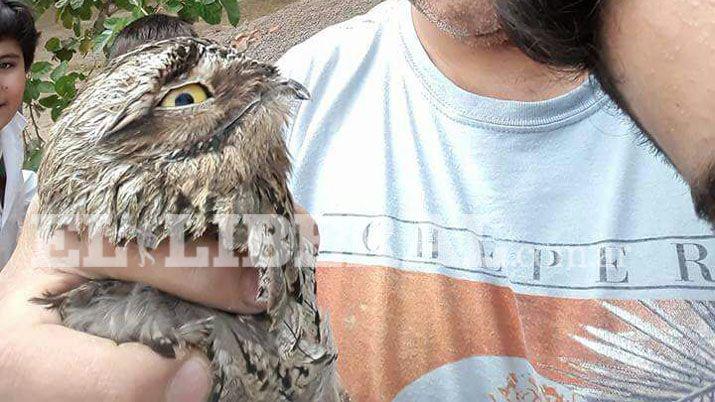 Quimilí- alumnos recibieron la visita de un Kakuy
