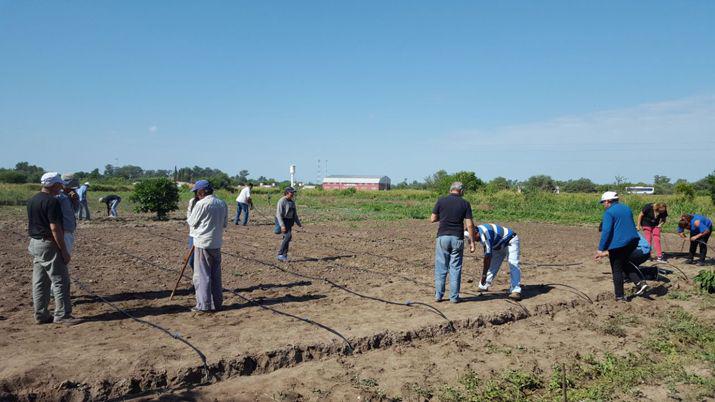 Instalan un sistema de riego por goteo a feriante