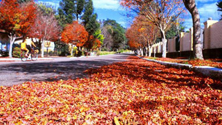 El otontildeo le roboacute un diacutea al verano y empezoacute hoy