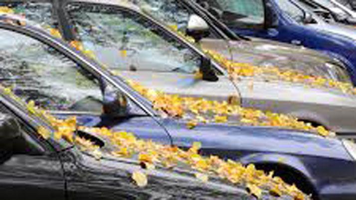 ANEacuteCDOTAS DE TAXI  iexclFeliz otontildeo para todos