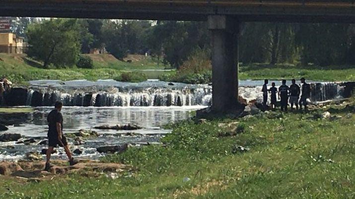 Córdoba- vecinos en alerta por un puma suelto