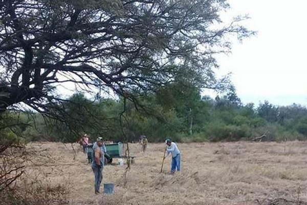 Concretan obra en el marco del Programa forestal santiaguentildeo