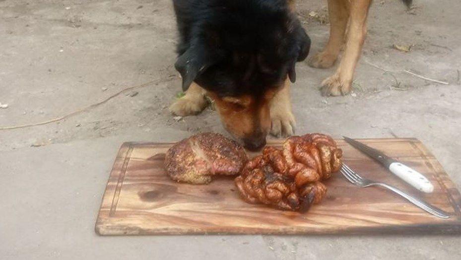 Le hizo un asado a su perro para festejar los 15 antildeos de vida