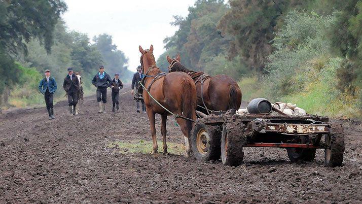 Un diacutea cualquiera en la vida de la colonia
