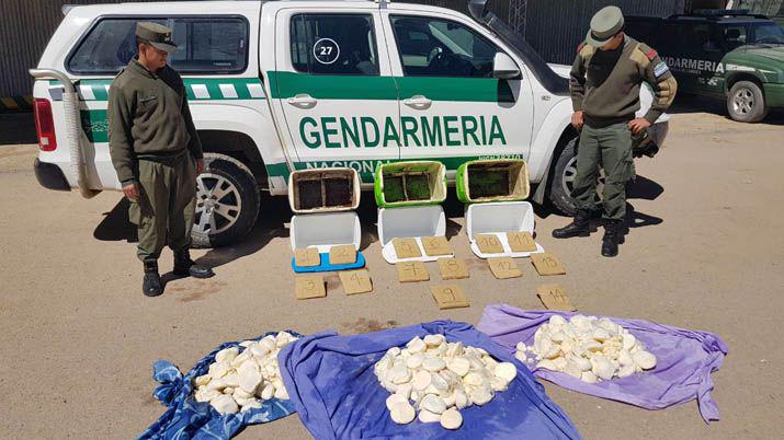 Vendían quesos pero todo era una pantalla para esconder cocaína