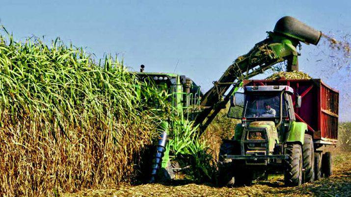 Afirman que la zafra azucarera se inicioacute en Tucumaacuten con buena calidad