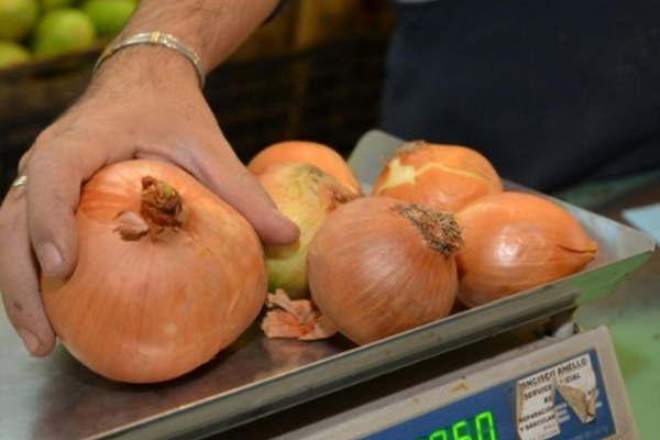 La cebolla subioacute esta semana entre 80 y 100-en-porciento- su precio y se vende a 20 por kilogramo