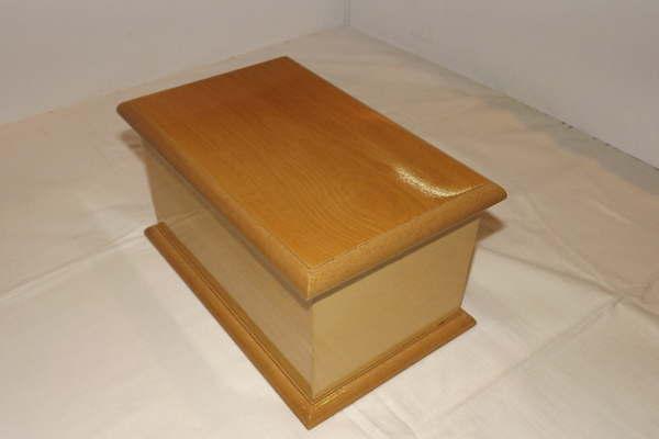 Olvidoacute la urna con cenizas de su madre en la estacioacuten de La Banda 