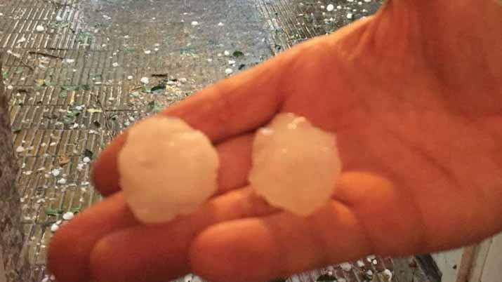 La caiacuteda de granizo afectoacute a la ciudad de La Plata