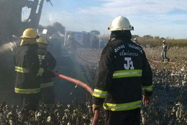 Incendio en una maacutequina cosechadora causoacute paacutenico en un campo de algodoacuten