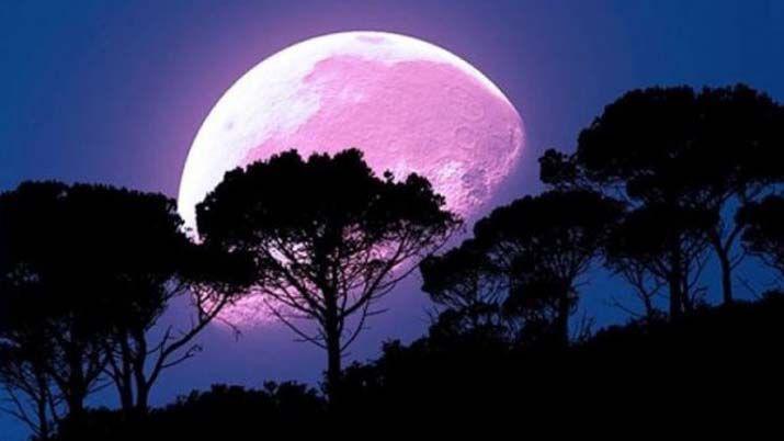 Esta noche la Luna Rosa influir en tu plano amoroso