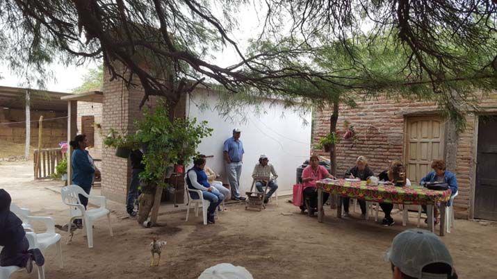 Productores demandan capacitacioacuten en el cultivo de alfalfa