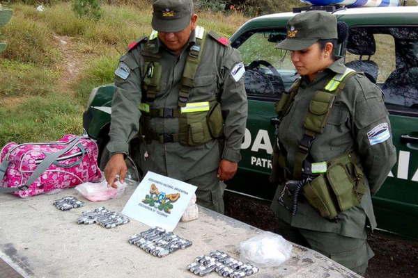 Detienen a una mula que llevaba 88 caacutepsulas de cocaiacutena