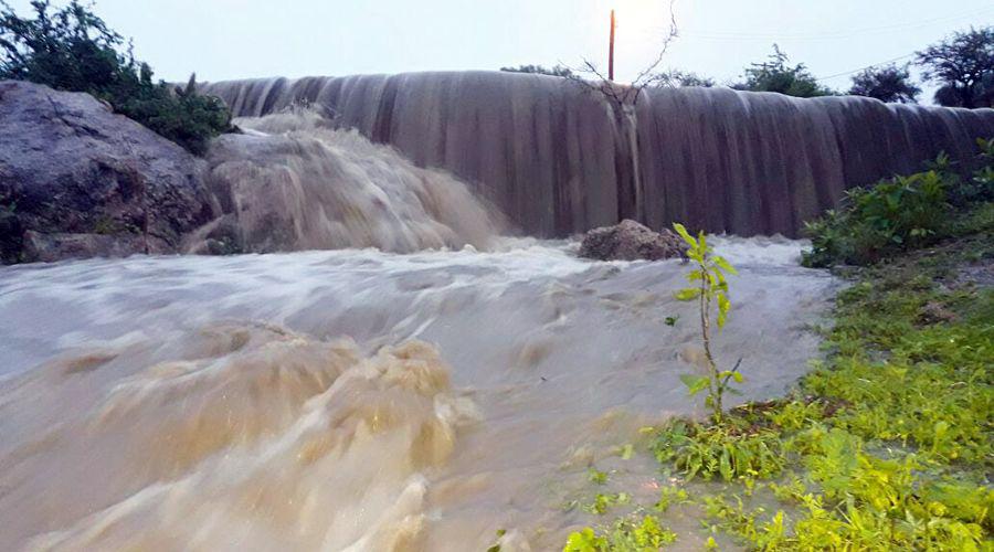 Foto Ricardo Aníbal Figueroa