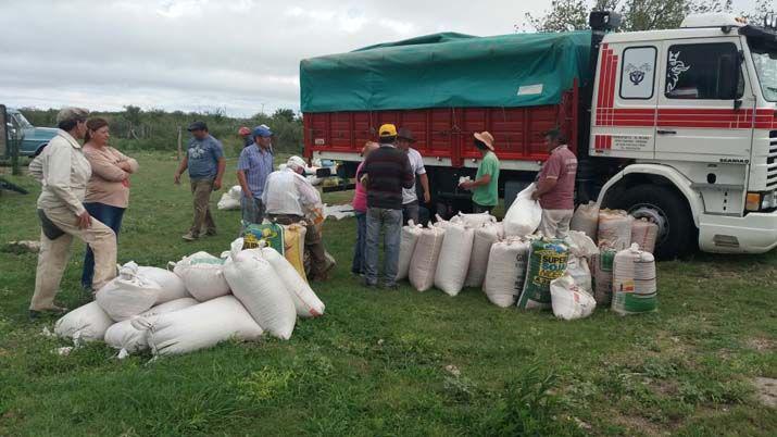 Productores compraron 10 mil kilos de maiacutez ante la falta de pasturas suficientes