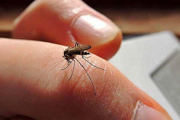 Dengue- confirman que son 267 los casos positivos en Santiago
