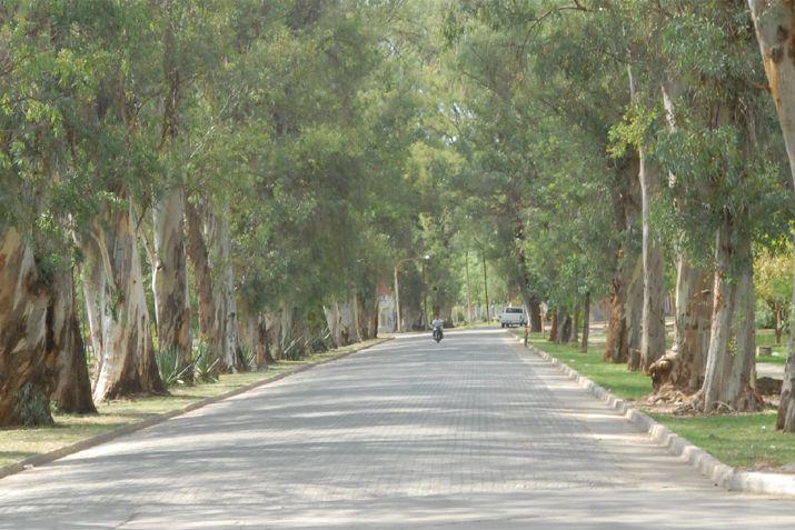 ANEacuteCDOTAS DE TAXI iexclMonti