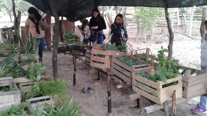 Alumnas de la UCSE visitaron a productoras de la Agricultura Familiar