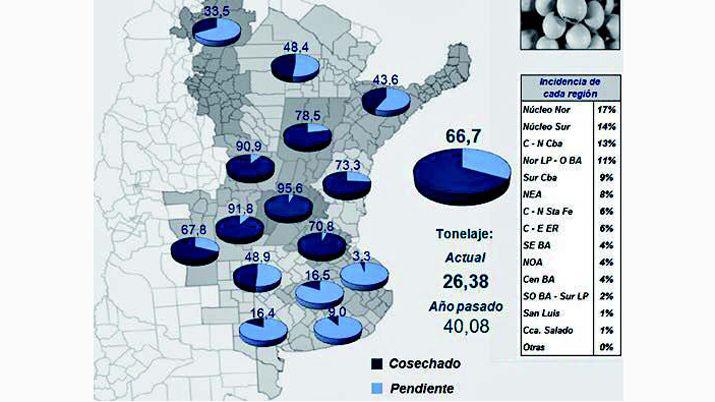 La merma de la cosecha de soja alcanzariacutea los 215 millones de toneladas
