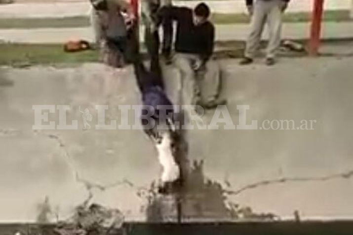 Un grupo de obreros se las ingeniaron para poner a salvo a la perrita