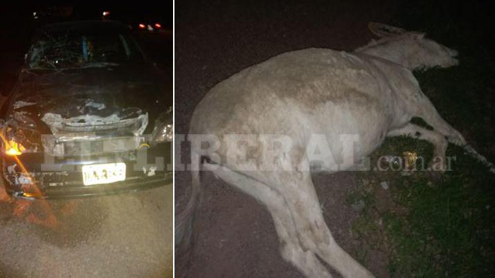 Una familia se salva de milagro al chocar un animal en la Ruta 92