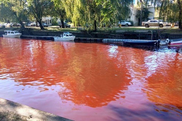 Los vecinos de Tigre no salen de su asombro por la coloración del agua