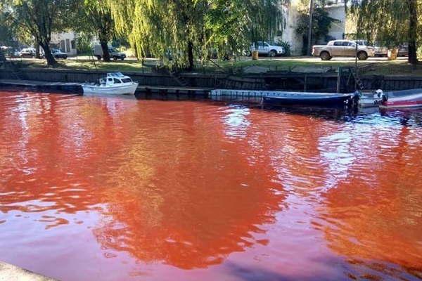 Misterio en Tigre- el riacuteo se tintildeoacute de rojo e investigan las causas