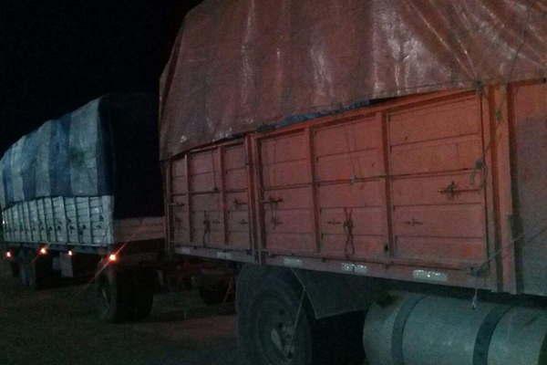 Interceptan un camioacuten con una carga ilegal de carboacuten