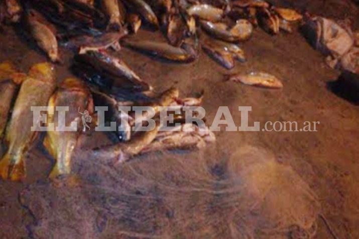 Los pescados y las redes ilegales quedaron a disposición de la Dirección de Bosque y Fauna de la Provincia