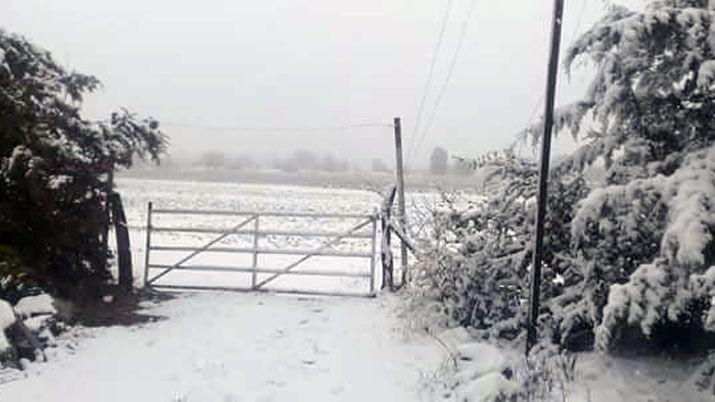 Cayoacute nieve y comenzaron las primeras heladas en Coacuterdoba