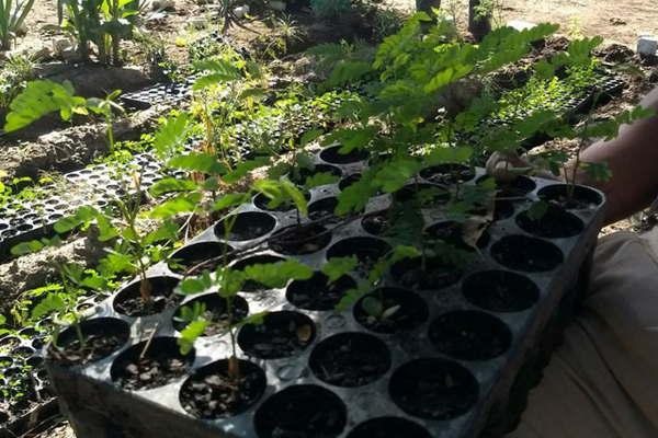 En Las Termas se desarrollaraacute la jornada El proceso de compostaje