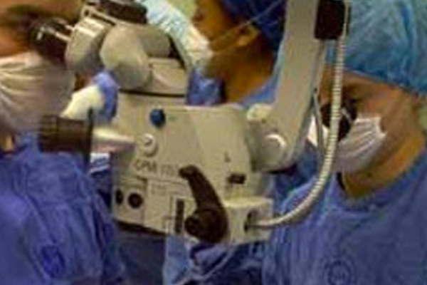 iquestQueacute partes del ojo pueden ser trasplantados