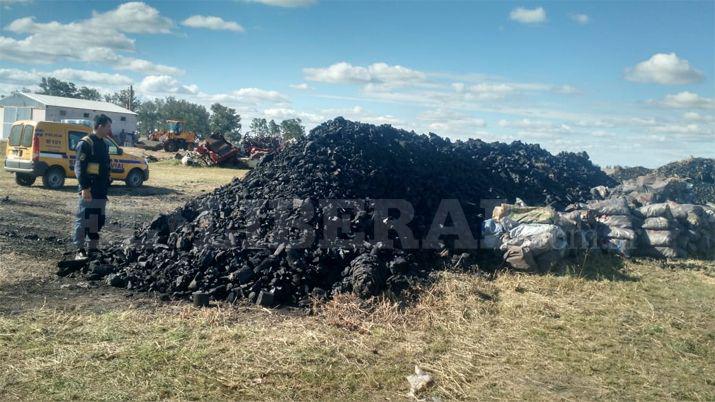 Decomisaron 25 mil kilos de carboacuten por falta de documentos