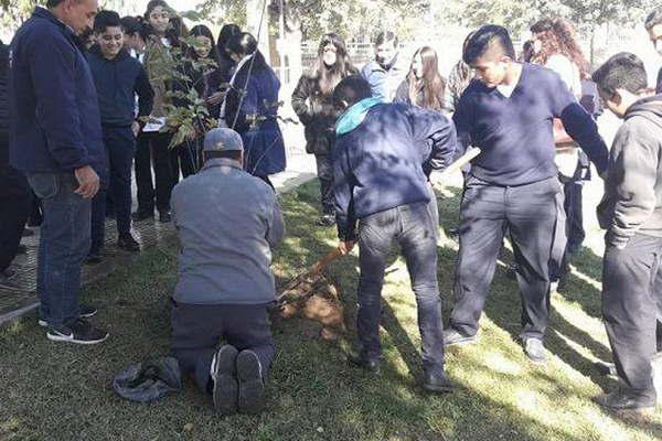 Alumnos del Inti Huasi plantaron lapachos en la plaza Dr Palavecino