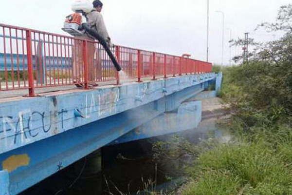 Revelan que disminuyeron de 50 a 10 las muestras que se analizan a diario por sospechas de dengue