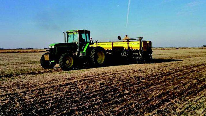 La siembra de trigo cubrioacute un 20-en-porciento- de los 61 millones de hectaacutereas previstas