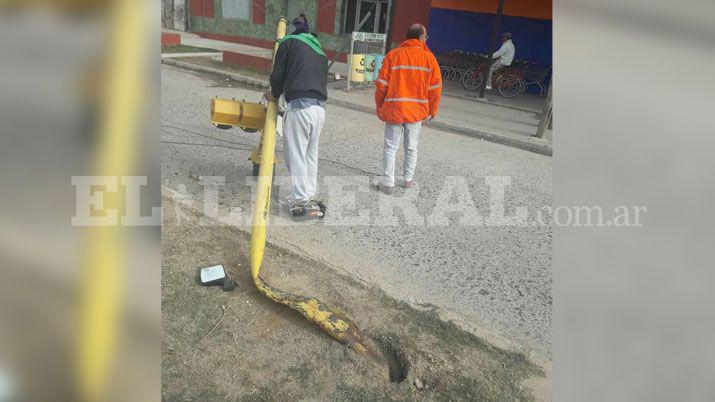 Perdioacute el control de la camioneta y arrancoacute un semaacuteforo