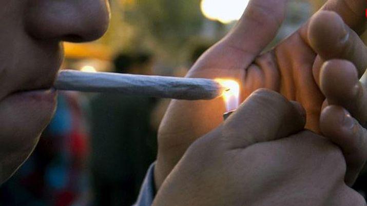 Canadaacute legaliza la marihuana para uso recreativo