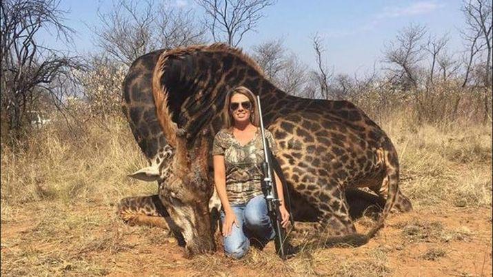 Indignación por el asesinato de una extraña jirafa negra