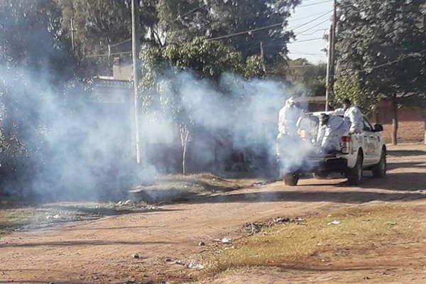 La comuna intensifica los trabajos de fumigacioacuten y desmalezamiento para prevenir casos de dengue