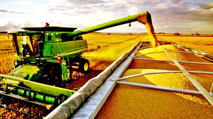 La cosecha de soja finalizoacute con 36 Mde toneladas la maacutes baja en 9 antildeos