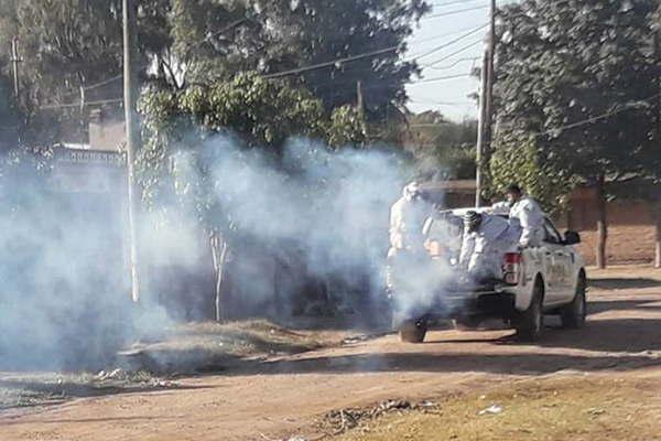 Intensifican tareas de fumigacioacuten y desmalezamiento