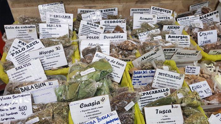 Hierbas medicinales- lo que maacutes se busca en el Mercado Armoniacutea