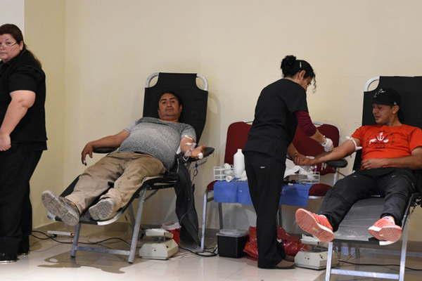 Termenses y turistas colaboraron con la colecta voluntaria de sangre 
