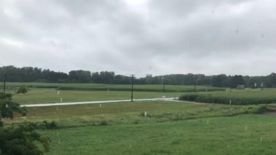 Captoacute coacutemo un rayo cayoacute a 30 metros de eacutel en video